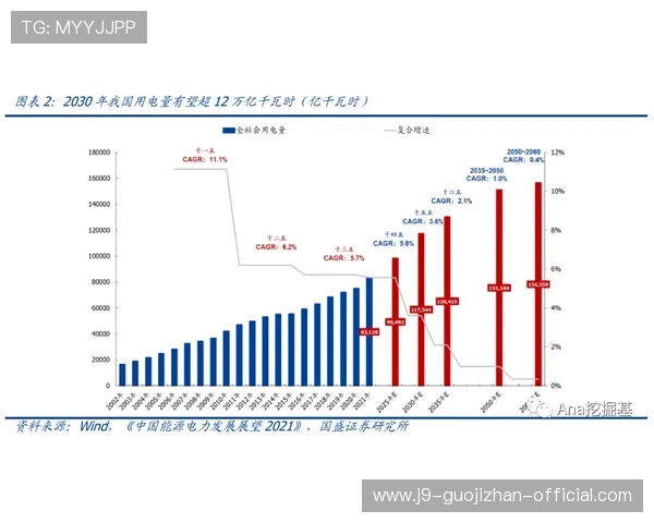 AG厅电投：多样化投注方式满足不同用户需求的电投平台推荐
